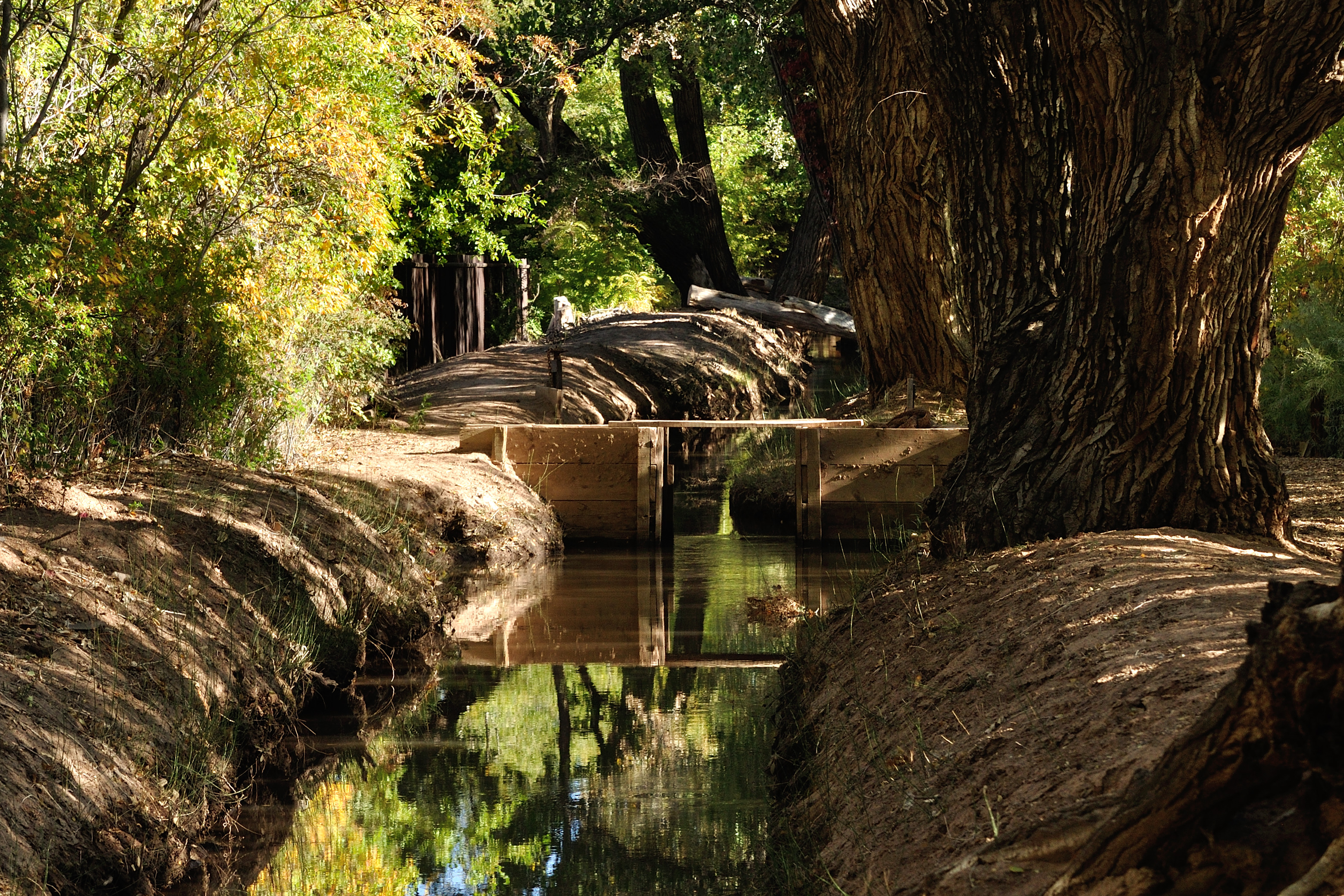 Tree lined trail along the acequia. Photo courtesy of gentleartofwandering.com